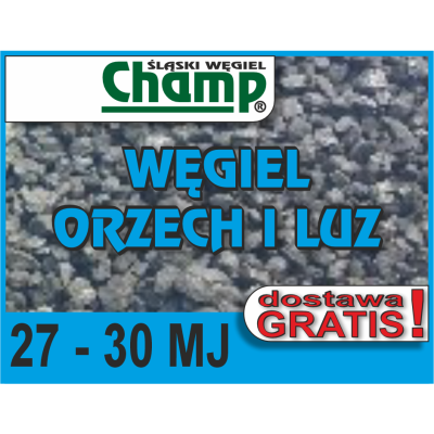 Wegiel Orzech luz