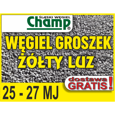 Wegiel Groszek Champ zolty luzem