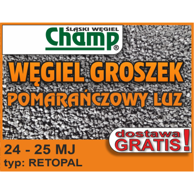 Wegiel Groszek Champ Pomaranczowy luzem