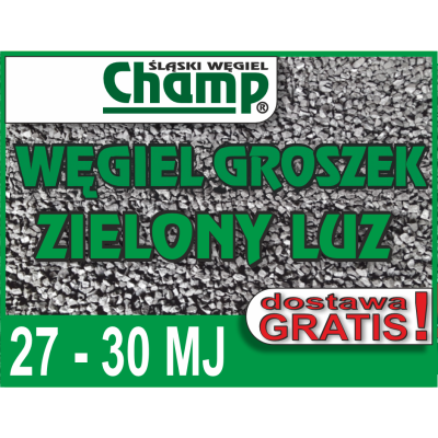 Wegiel Groszek Champ Zielony luzem
