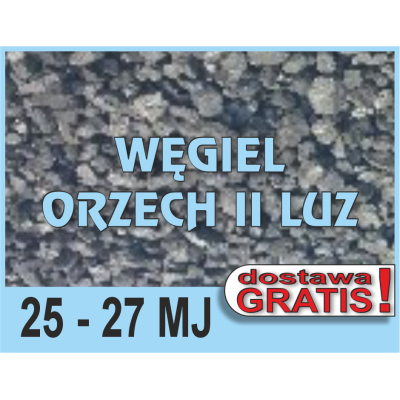 Wegiel Orzech II luz